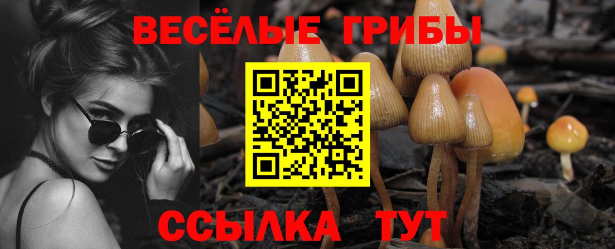 Галлюциногенные грибы Cubensis  Галлюциногенные грибы Magic Shrooms  Вход с VPN  Прохладный 